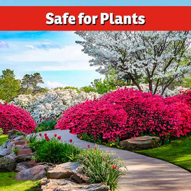 IMUSTGARDEN leaves appear greener as sulfur helps chlorophyll production.