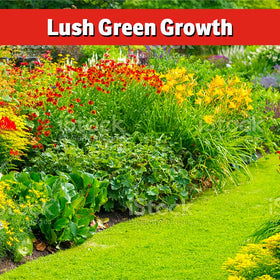 IMUSTGARDEN hydrangeas with darker greens after soil treatment.