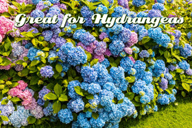 IMUSTGARDEN organic heritage supports natural garden care routines.