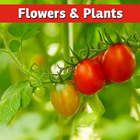 IMUSTGARDEN Tomato and bulb protection from gnawing and nesting