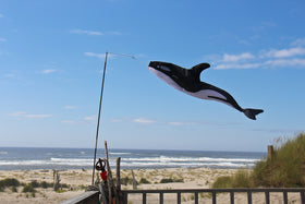 In the Breeze 4878 three-section pole offers adjustable height options.