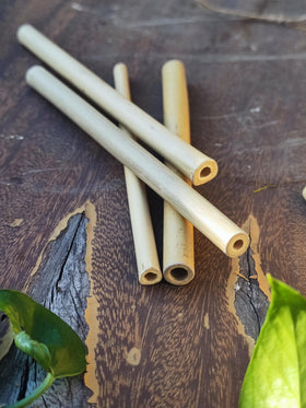 INATURE bamboo tubes with varied diameters for solitary bees in gardens