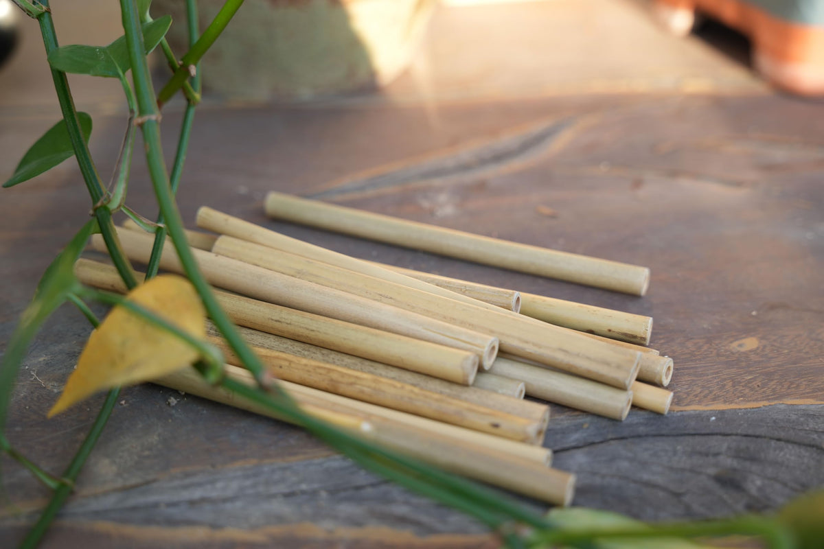 INATURE bee hotel construction using bamboo tubes for nesting sites