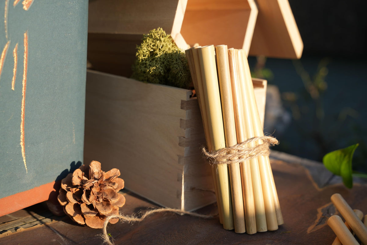 INATURE eco-friendly nesting solution with natural bamboo tubes