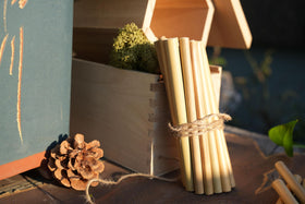 INATURE eco-friendly nesting solution with natural bamboo tubes