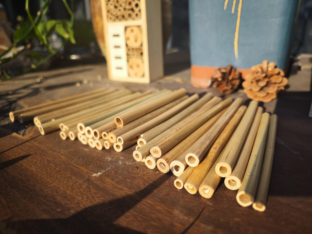INATURE solitary bee nesting tubes installed in a garden setting