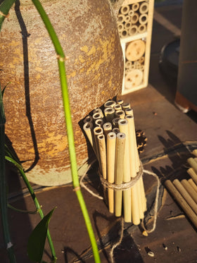 INATURE bamboo tubes refilling existing bee habitats