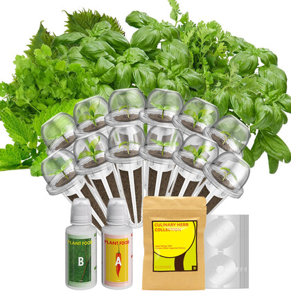Inbloom 12-Pod Seed Pod Kit shows AeroGarden compatibility for easy indoor herb growing.