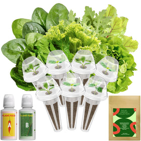 Inbloom 7-pods kit shows all-in-one components for easy indoor salad greens