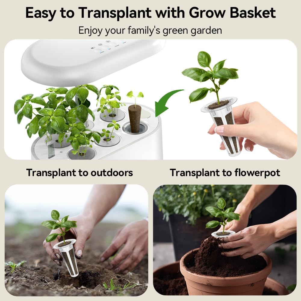 Inbloom biodegradable grow sponges emphasize nutrient delivery and air porosity