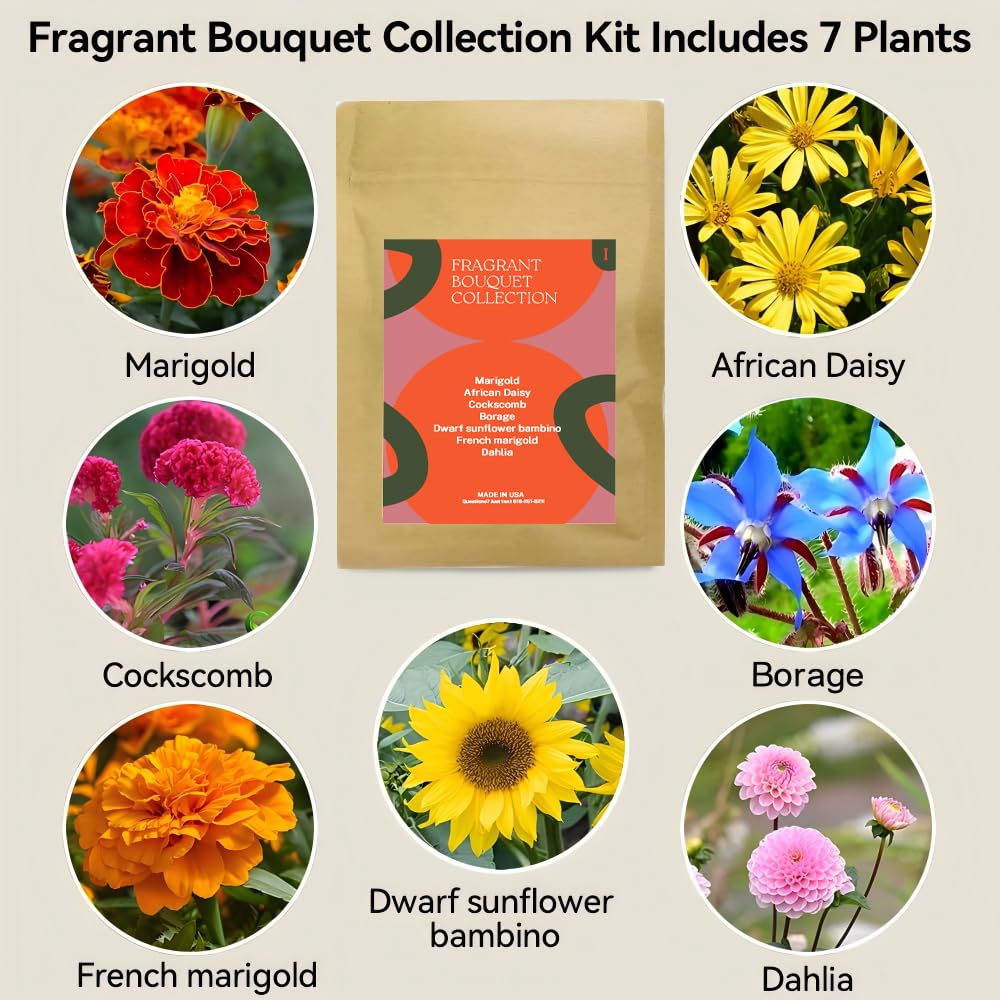 Inbloom Fragrant Bouquet seeds and packaging ready to inspire a vibrant indoor garden