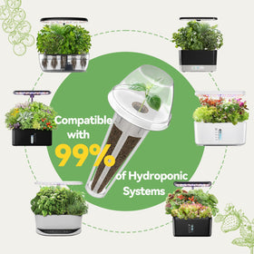 Inbloom gifts for family showcase year-round fresh greens at home
