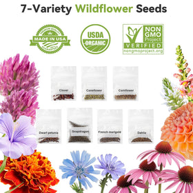 Inbloom grow domes retain moisture for consistent seedling growth.
