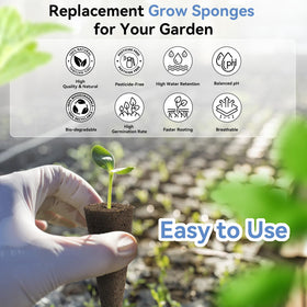 Inbloom Grow Sponges sterile nursery emphasizes clean seed germination.