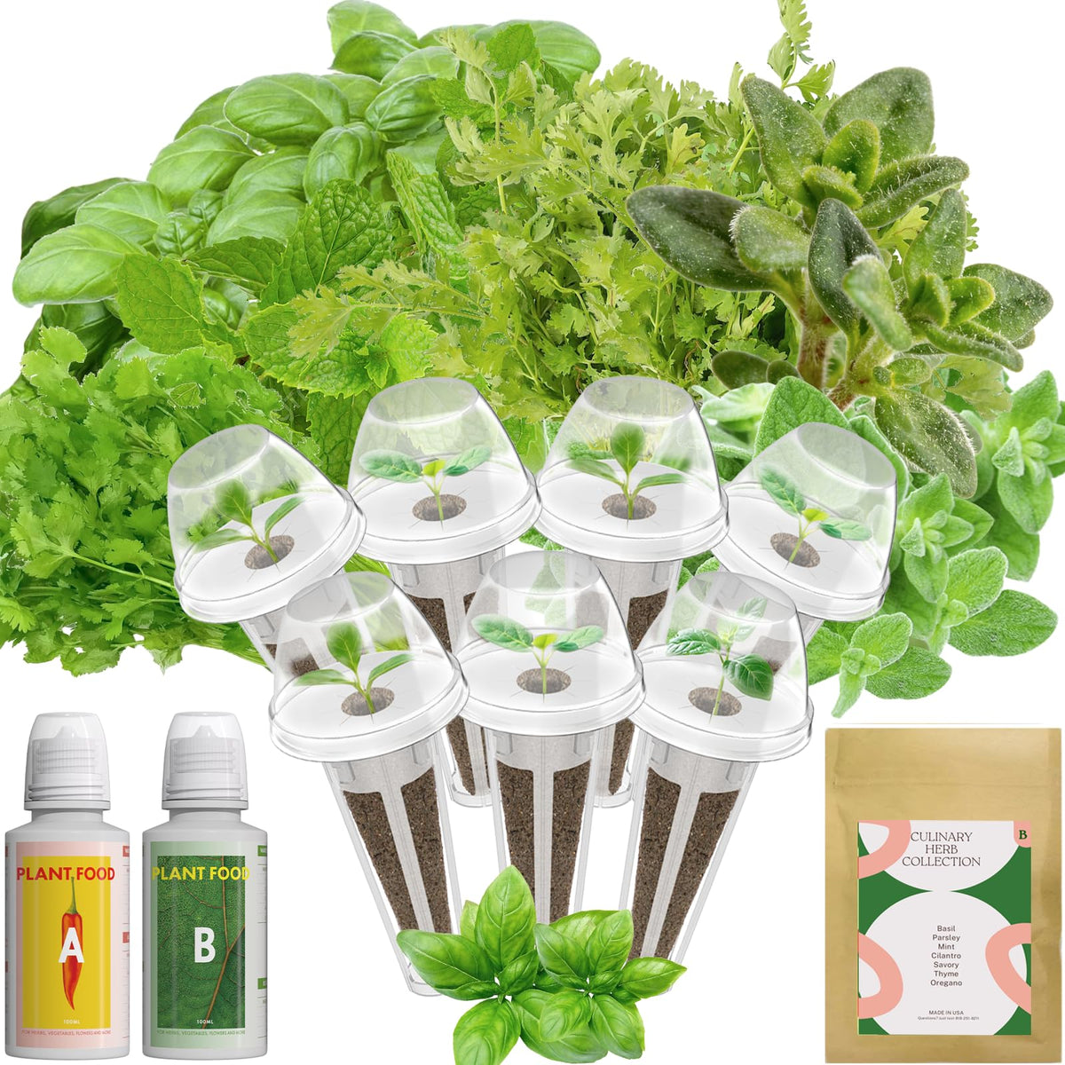 Inbloom Hydroponics basil pod kit for fresh basil at home