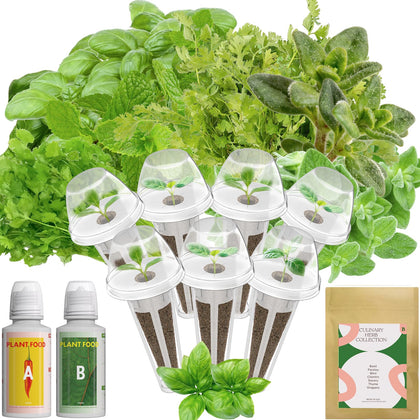 Inbloom Hydroponics basil pod kit for fresh basil at home