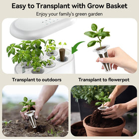 Inbloom Hydroponics cilantro pod kit for cilantro for salsas