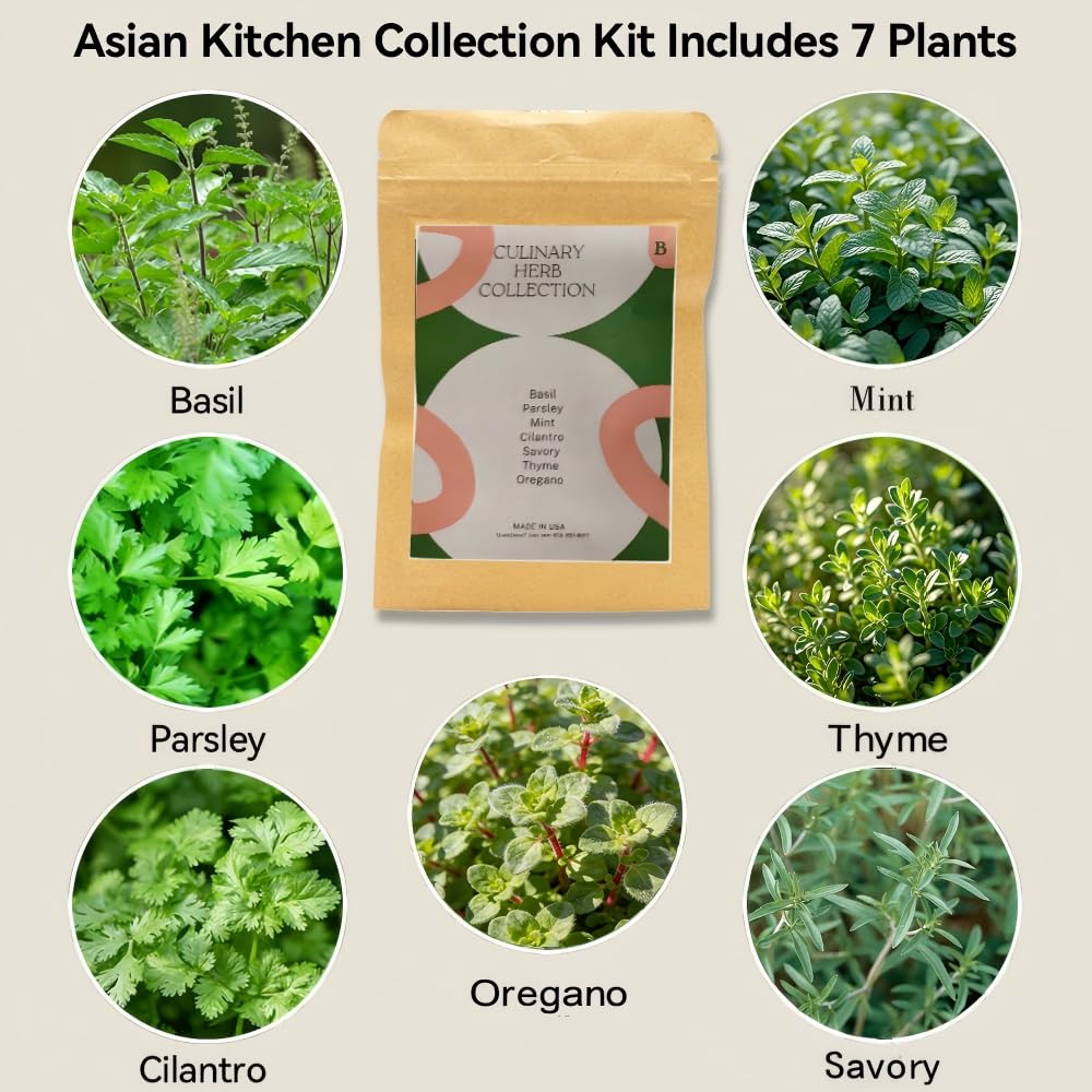 Inbloom Hydroponics parsley pod kit for garnish indoors