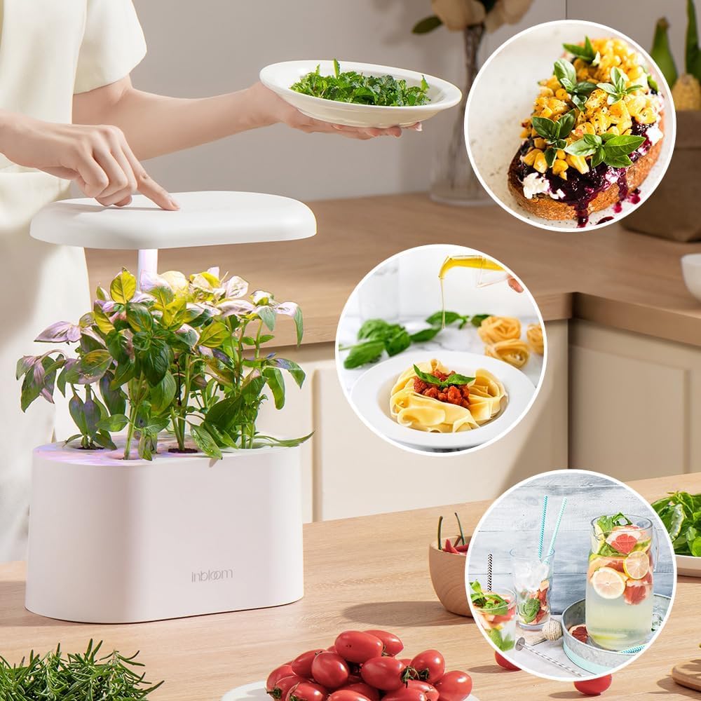 Inbloom Hydroponics thyme pod kit for roasting aroma