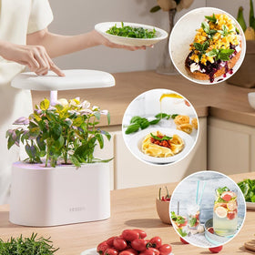 Inbloom Hydroponics thyme pod kit for roasting aroma