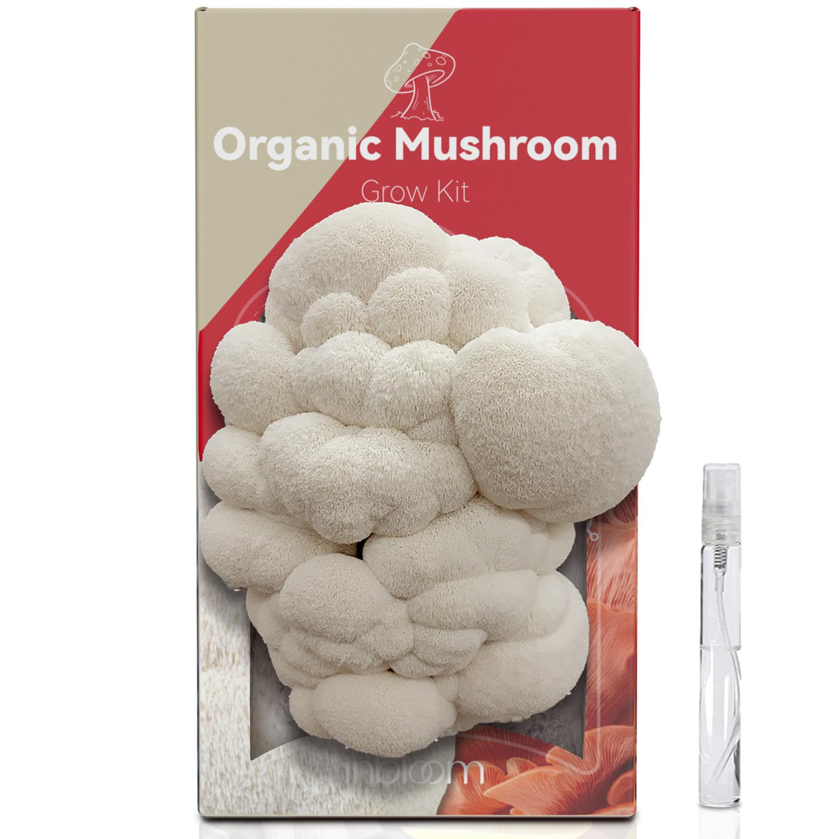 inbloom Lion's Mane kit packaging, ready-to-gift design for holidays.