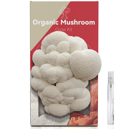 inbloom Lion's Mane kit packaging, ready-to-gift design for holidays.