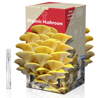 Inbloom Organic Golden Oyster Mushroom Grow Kit box, ideal for beginners.