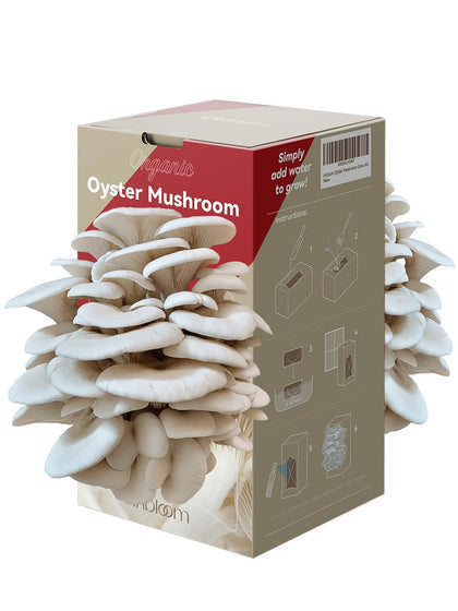 inbloom Organic Oyster Mushroom Kit box open, beginner-friendly setup for home harvest.