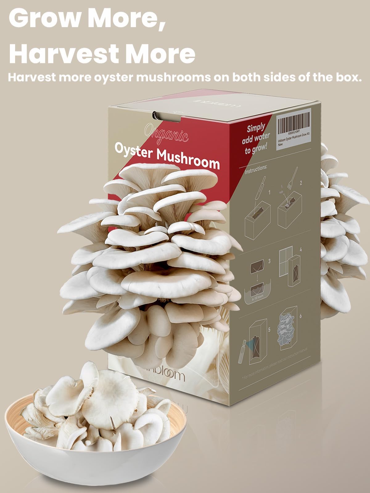 inbloom Oyster Mushroom Kit spray action, easy daily mist for thriving mushrooms.