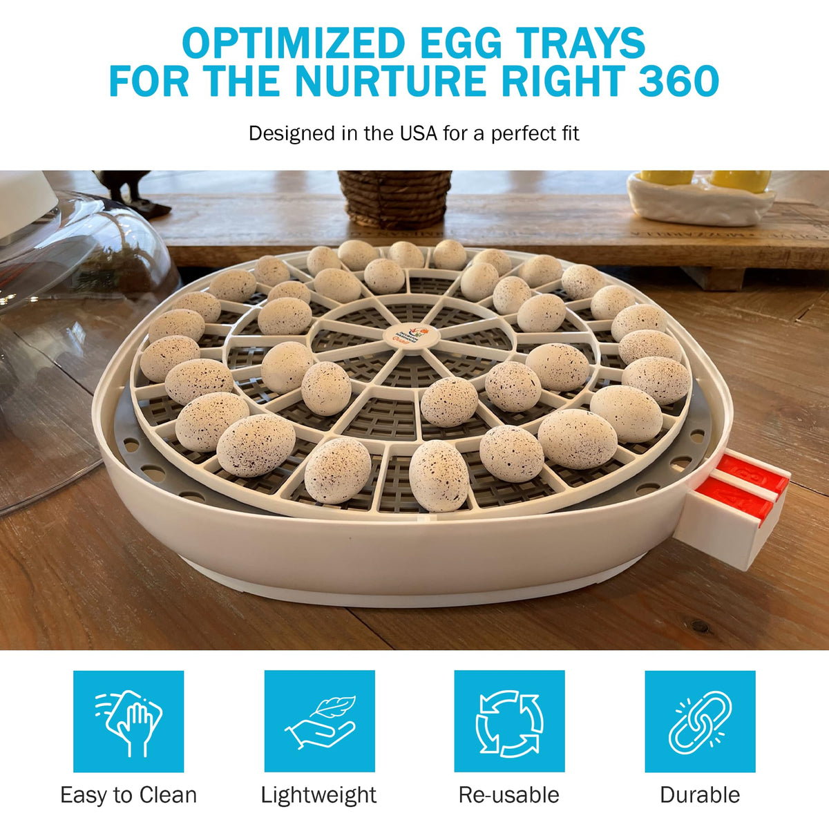 Incubator Warehouse egg tray showing drainage and airflow design for proper egg positioning.