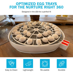 Incubator Warehouse egg tray showing drainage and airflow design for proper egg positioning.