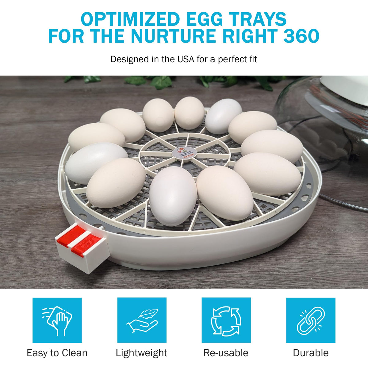 Durable, flexible egg trays support proper positioning, drainage, and airflow.