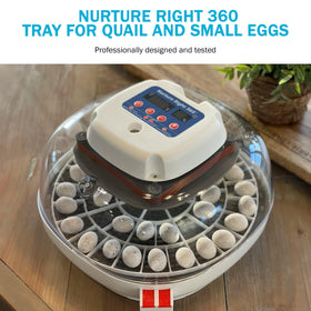 Incubator Warehouse hand-washable tray simplifies cleaning and maintains hygiene.