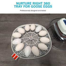 Incubator Warehouse trays enable easy handling and quick egg removal without damage.