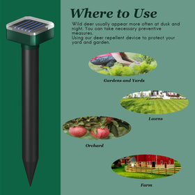 INENNT stake installation shown for quick, portable setup in sunny spots.
