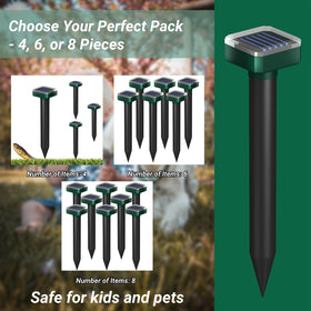 INENNT yard setup shows easy ground installation for protection.