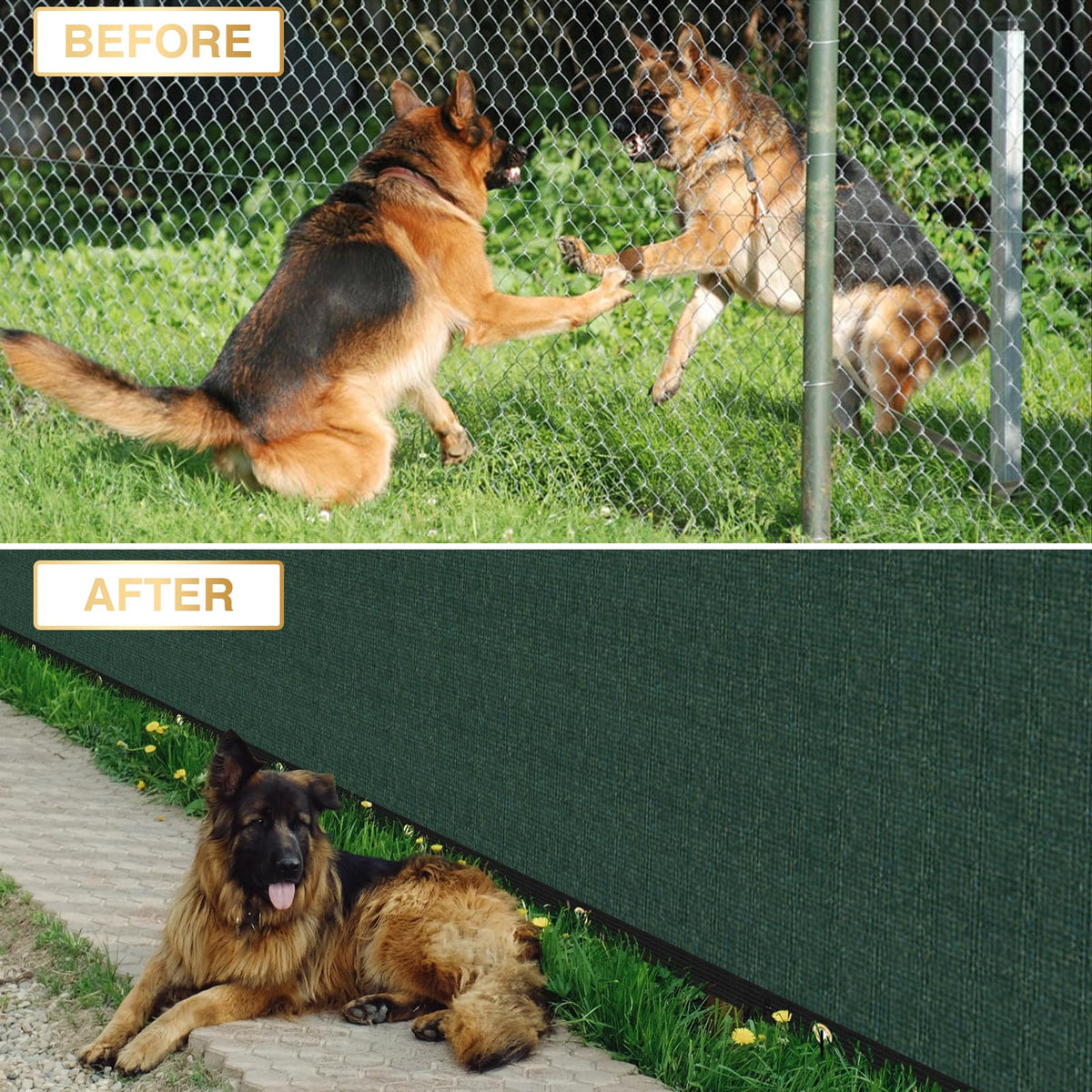 INFRANGE mesh windscreens green version shows breathable privacy fabric.