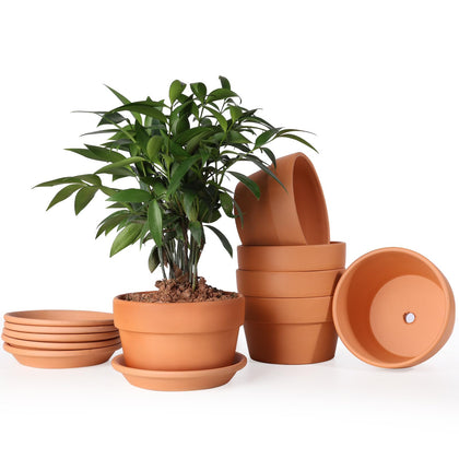 INGOFIN 5-Inch terracotta pot with saucer for indoor plants and drainage.