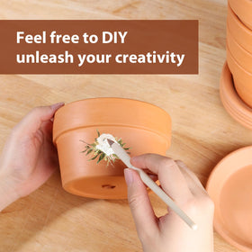 INGOFIN breathable terracotta pot promotes even watering and air flow.