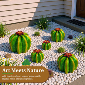 inihpocv barrel cactus with vivid red flower crown enhances visual contrast