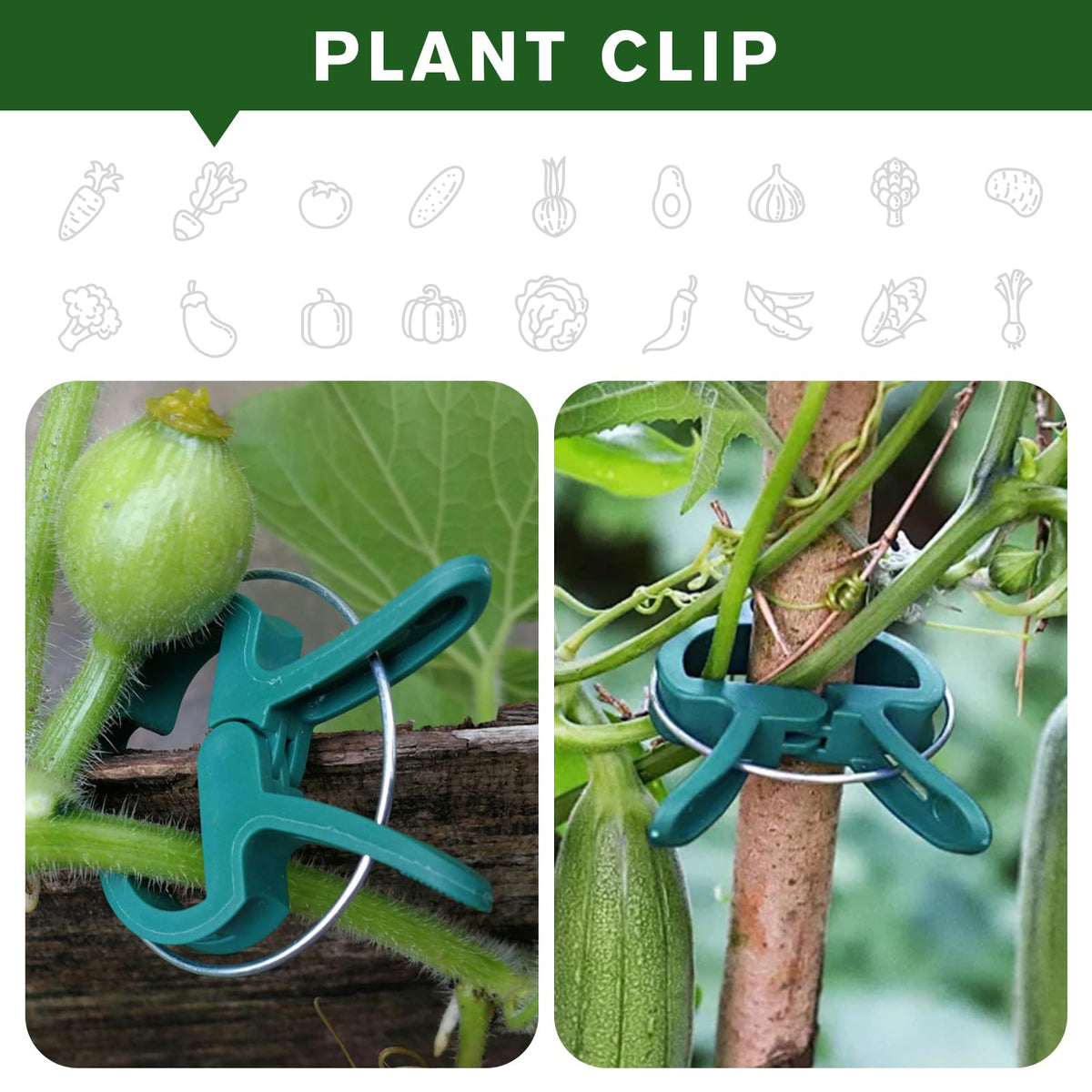 Iniscape vine-support clips gently guide climbing plants.