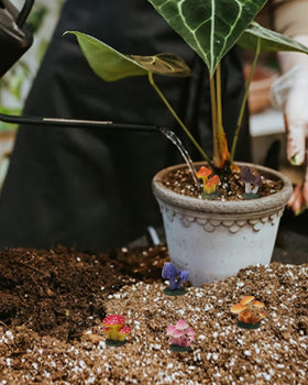 Inkaove moss terrarium accents create a woodland micro-scene