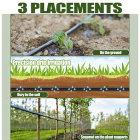 Innconee ideal for dense planting like vegetables and window boxes.