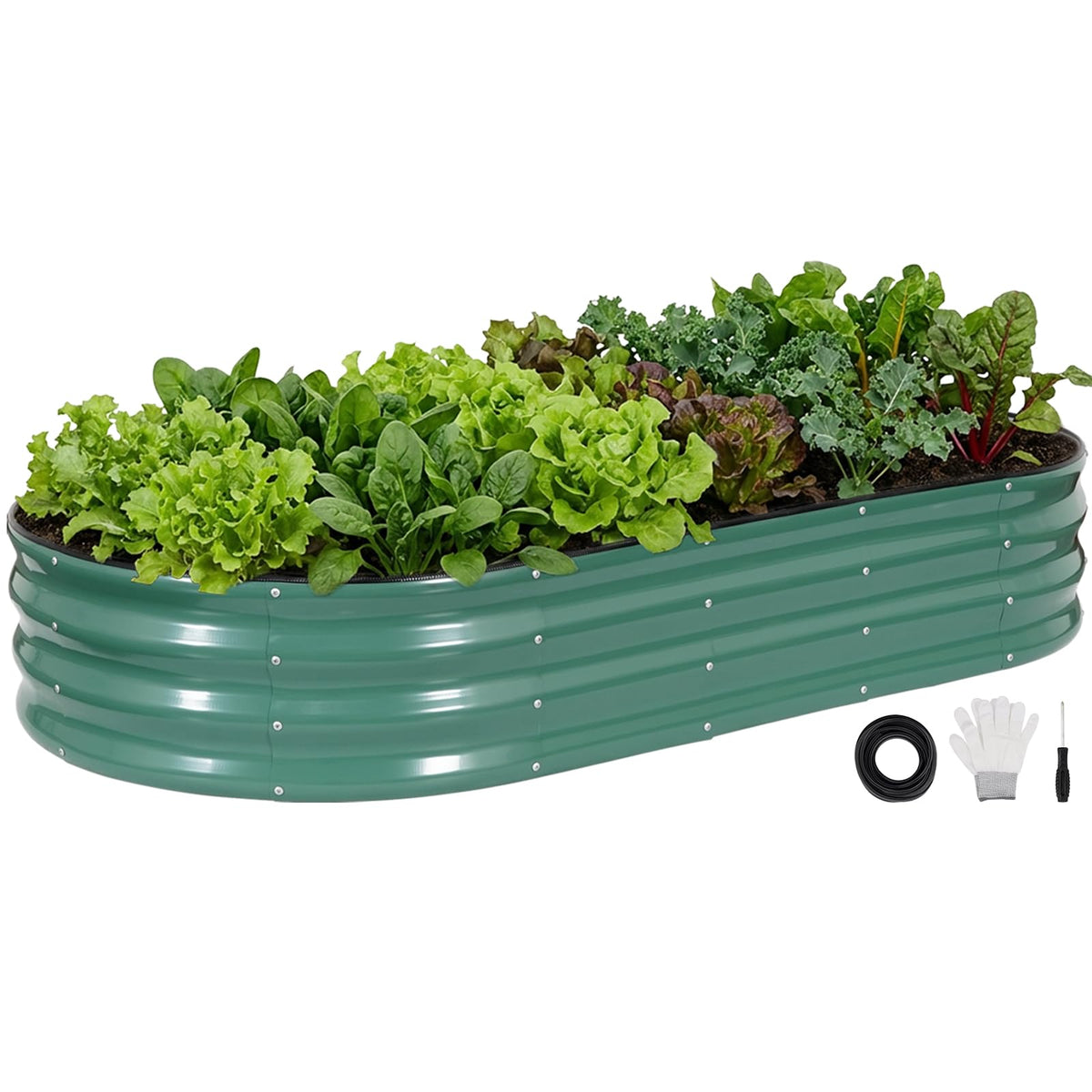INNO STAGE galvanized raised bed, 6x3x1ft oval, organized vegetables and herbs