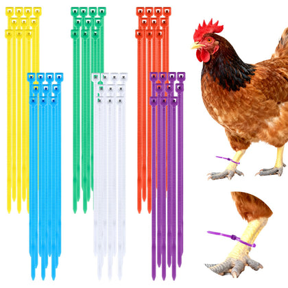 InnoHHustle 600pc chicken leg bands for durable poultry identification.