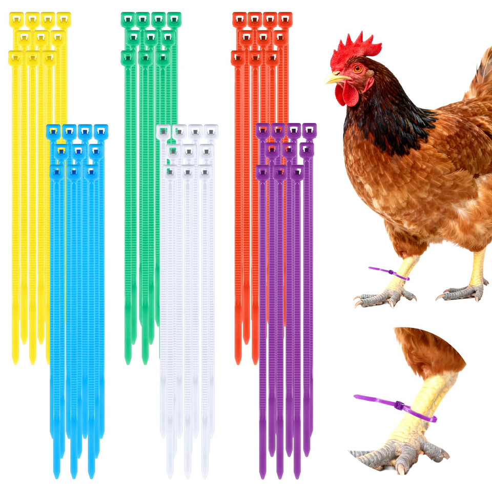 InnoHHustle 600pc chicken leg bands for durable poultry identification.