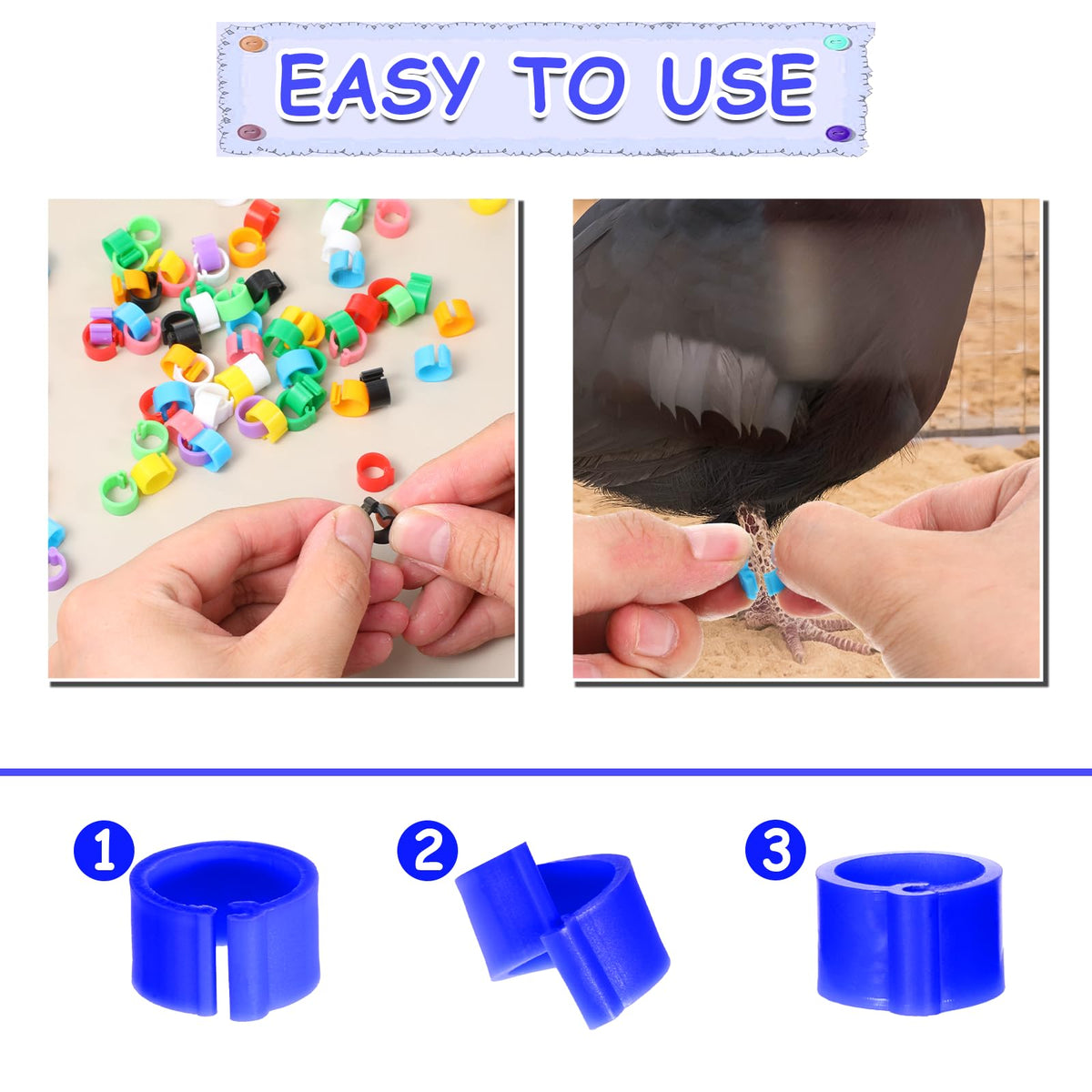 InnoHHustle colored leg rings help separate ages and groups at a glance.