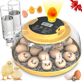 Innvello 18-egg incubator front view showing compact design and dual trays for versatile hatching.