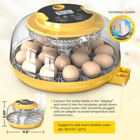 Innvello easy-clean removable lid for quick sanitation after use.