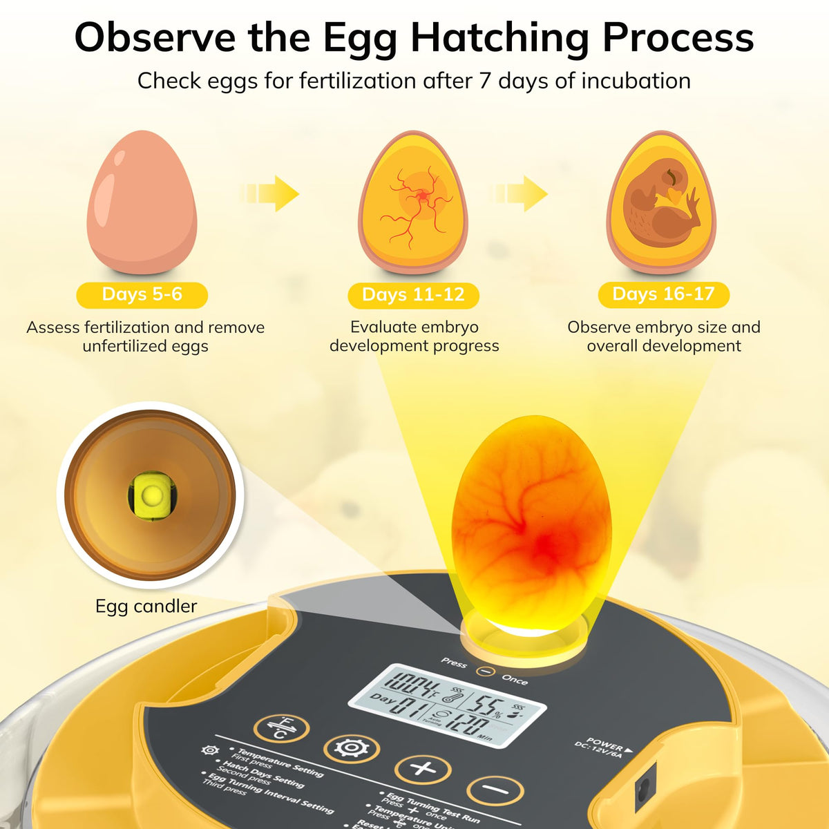 Innvello integrated egg candler for noninvasive monitoring of embryo development.